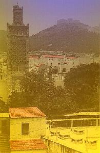 ORAN 02407